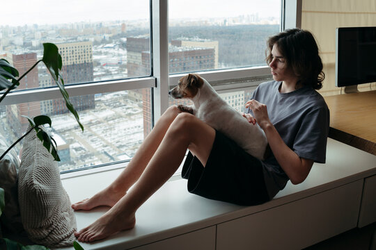 Cozy Afternoon With a Dog by the Window in a Modern Apartment