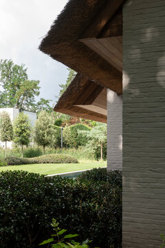 thatch roof and garden