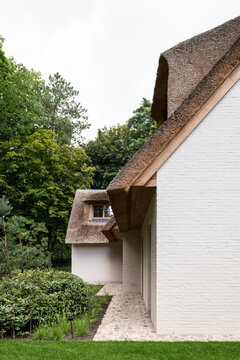 thatch roof