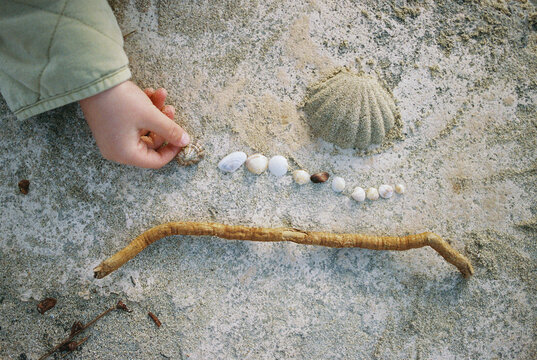beach treasures