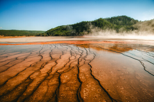 Geothermal terraces and steam at Midway Geyser Basin in Yellowstone National Park