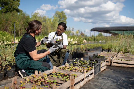 Multiracial farmers discussing plants in garden