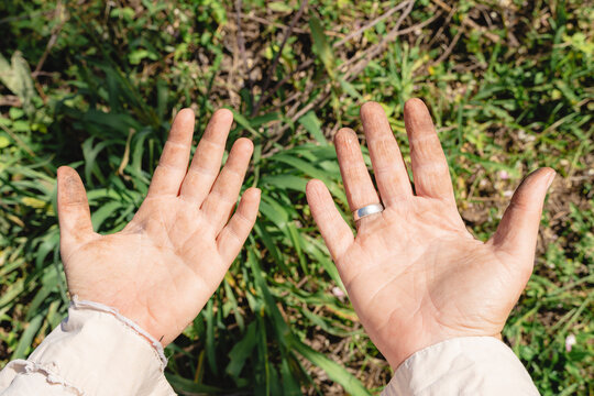 Hands showing soil from gardening and hard work