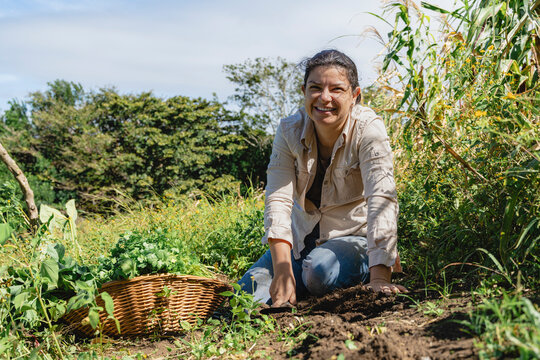 Costa rican woman farming organic vegetables in garden
