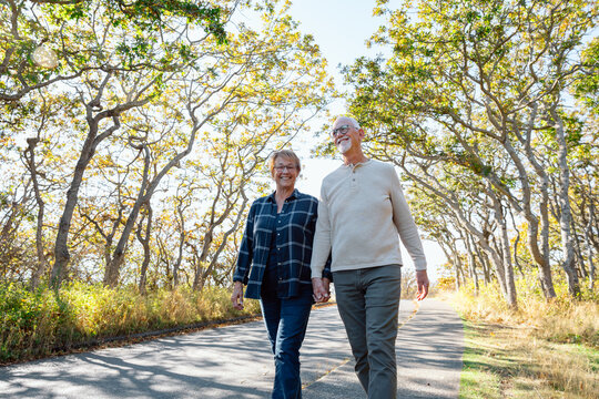 Candid seniors walk hand in hand along a sunlit park path