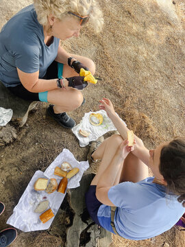 Family Picnic Break Outdoors