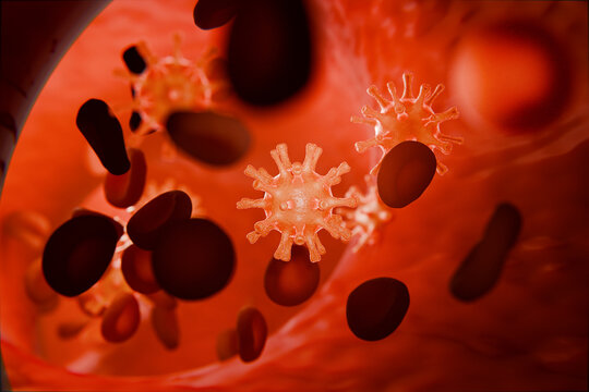 Virus cells flowing through blood vessel