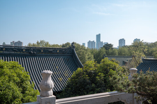 Traditional Rooftops and Skyline