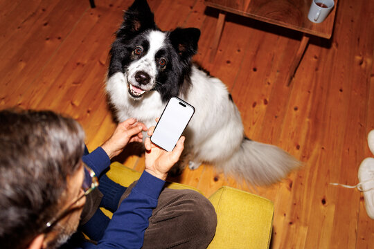 Man phones, dog stares