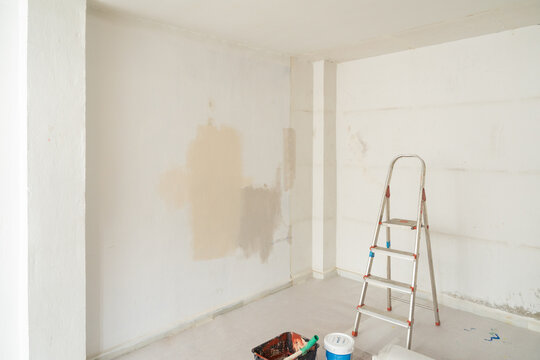 Interior room wall with paint samples and ladder