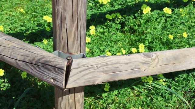 Wooden fence post with spring yellow flowers