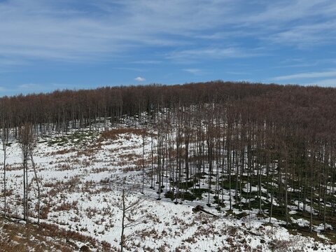 The last remnants of snow on the mountain road towards the Jankovac forest park - Papuk Nature Park, Croatia (Posljednji ostaci snijega na planinskoj cesti prema park &scaron;umi Jankovac, Park prirode Papuk
