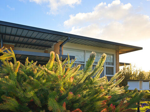 MCM Home Seen During Sunset With Green Plants in Front