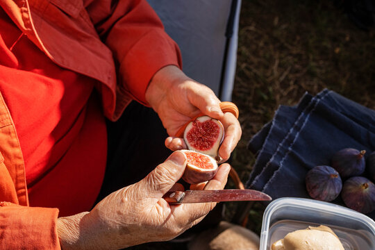 Slicing figs in nature.