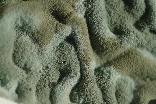 Patterns in Mold With Water Droplets in a Close-Up View