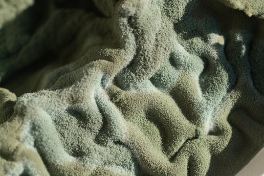 Macro view of mold surface on expired food