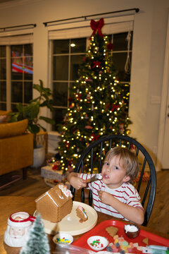 Christmas Gingerbread House