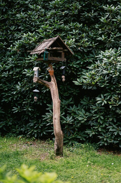 Birdhouse on a log in German garden