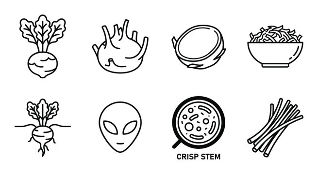 Beetroot, dragon fruit, coconut, shredded food icons plus alien head and microscope.