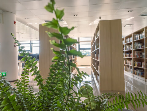 Guatemala, Guatemala, Guatemala. 15,03,2026. Interior shot of hallways and bookshelves with contemporary and minimalist design.