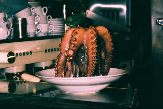 octopus displayed upside down on a bar counter, 35mm film