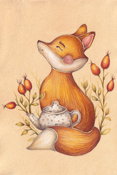 Happy fox