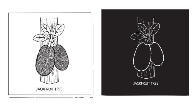 black and white drawing of an orchid tree line art with silhouette vector