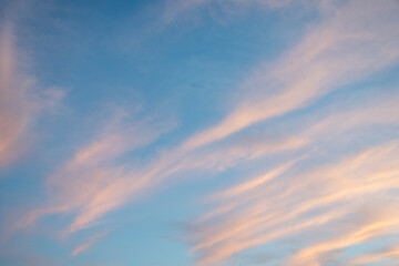 Fototapeta premium 夕陽を受けオレンジ色に輝く雲 