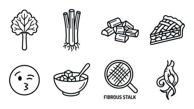 Rhubarb plant and culinary use line icons displaying stalks leaves pie tart and fibrous stalk detail.