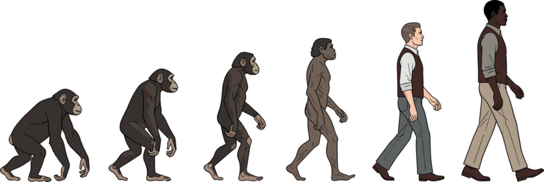 Human Evolution Theory Vector Illustration Showing the Biological Progress from Primitive Apes to Modern Professional Men for Science, History, and Educational Presentation DesignsHuman Evolution Theo