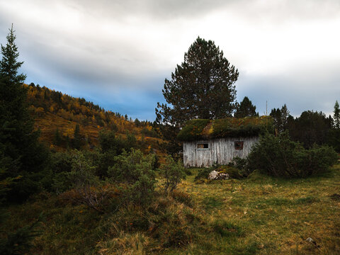 Rustic Wooden Cabin Nestled in Autumnal Norwegian Mountains
