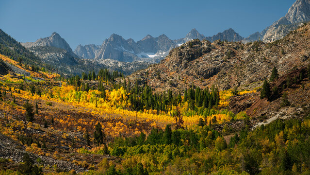 Eastern Sierra Mountains Fall Colour. 