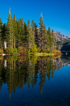 Trees Perfectly Reflected in an Alpine Lake