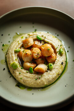 Seared scallops on creamy pur&Atilde;&copy;e with herbs