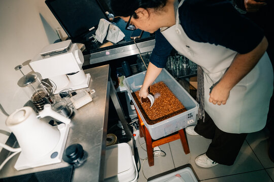 Coffee Bean Sorting Takes Place in a Small Kitchen Area