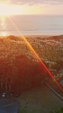 Sunset paints the sky over a rugged coastline iof Kawhia Hotwater Beach, Kawhia, Waikato, New Zealand. Waves crash on a sandy beach, bordered by dunes and a dense pine forest.