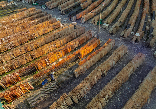 Wooden Drying Field