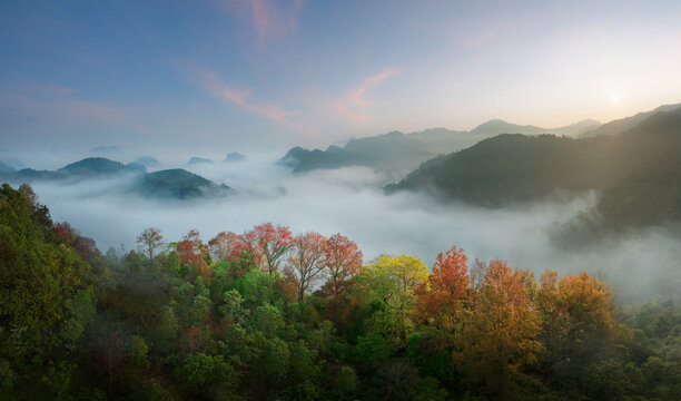 Foggy Mountain Valley
