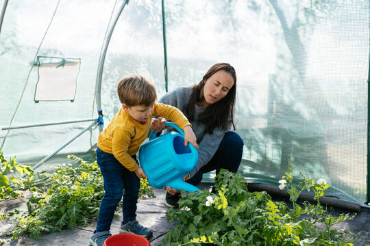 Mother and son watering plants in greenhouse