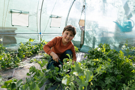 Boy watering plants in greenhouse for sustainable gardening