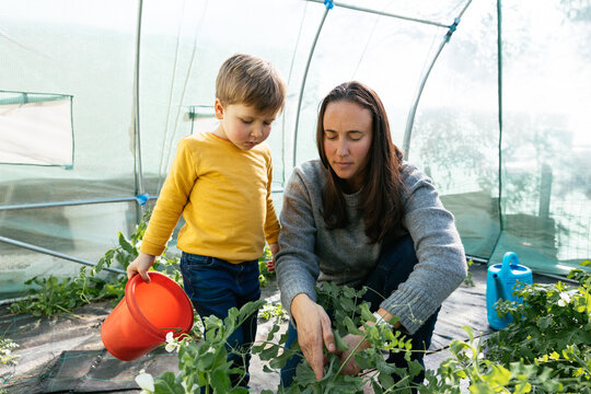 Mother and son gardening in a greenhouse learning plant care