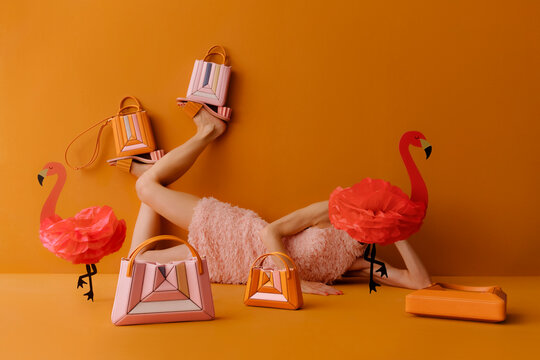 Pastel Fashion Accessories With Flamingo Theme