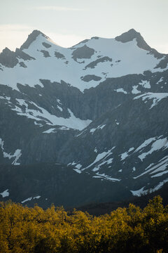 Lofoten mountains with snow patches and green forest