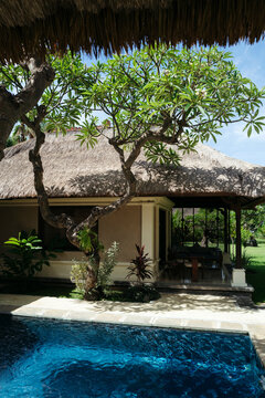 Tranquil Retreat With Lush Greenery and Serene Waters