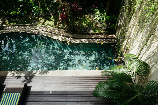 Serene View of a Tranquil Pool Surrounded by Lush Greenery