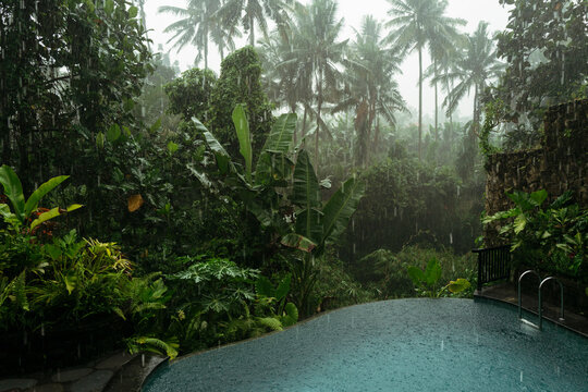 Tropical Paradise: Lush Greens and a Peaceful Pool on Rainy Day