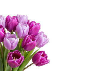 Obraz premium Bouquet of Purple Tulip Flowers Closeup.