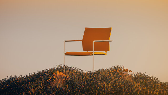 Chair sits alone in a wide field of plants at sunset
