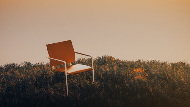 Chair sits alone in a wide field of plants at sunset