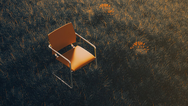 Chair sits alone in a wide field of plants at sunset